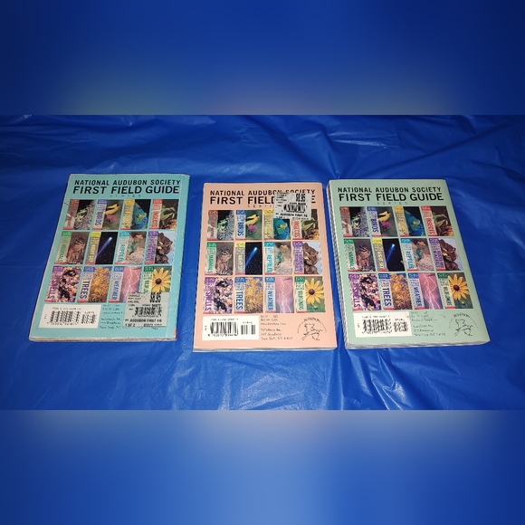 Scholastic National Audubon First Field Guide Reptiles, Insects, and Mammals - Picture 4 of 16